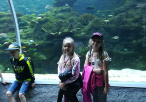 3 dzieci ogląda ryby w akwarium.